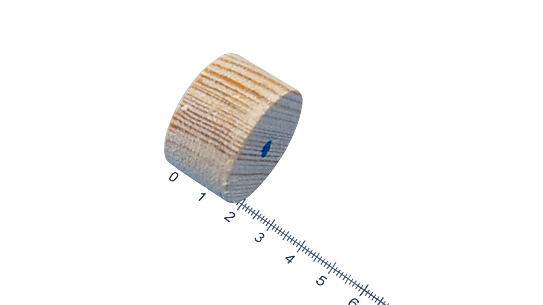 WOOD PLUG 20 MM PINE